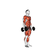 Animated demonstration of the dumbbell burpee