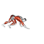 Animated demonstration of the bear crawl