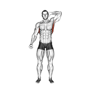 Animated demonstration of the standing lateral stretch