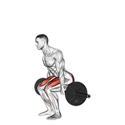 Animated demonstration of the barbell hack squat