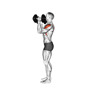 Animated demonstration of the dumbbell scott press
