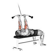 Animated demonstration of the cable lying close-grip curl