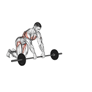 Animated demonstration of the barbell rollerout