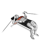 Animated demonstration of the cable bench press
