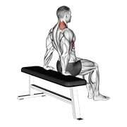 Animated demonstration of the scapula dips