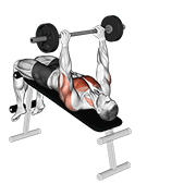 Animated demonstration of the barbell decline pullover