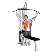 Animated demonstration of the cable wide grip rear pulldown behind neck