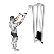 Animated demonstration of the cable standing pulldown (with rope)