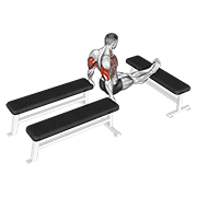 Animated demonstration of the three bench dip