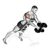 Animated demonstration of the dumbbell reverse fly