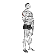 Animated demonstration of the cable standing shoulder external rotation
