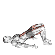 Animated demonstration of the glute bridge march
