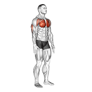 Animated demonstration of the isometric chest squeeze