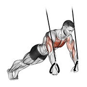 Animated demonstration of the suspended push-up