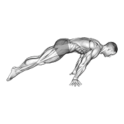 Animated demonstration of the lean planche