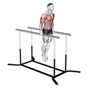 Animated demonstration of the elbow dips