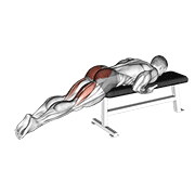 Animated demonstration of the reverse hyper on flat bench