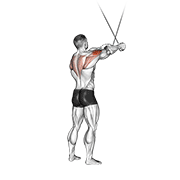 Animated demonstration of the cable standing cross-over high reverse fly