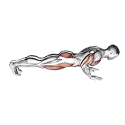 Animated demonstration of the spider crawl push up