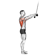 Animated demonstration of the cable pushdown (straight arm) v. 2