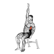 Animated demonstration of the seated lower back stretch