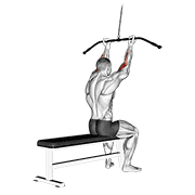 Animated demonstration of the cable pulldown bicep curl