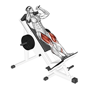 Animated demonstration of the sled hack squat