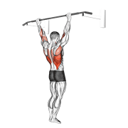 Animated demonstration of the wide grip pull-up