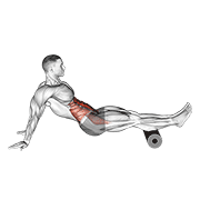 Animated demonstration of the roller reverse crunch