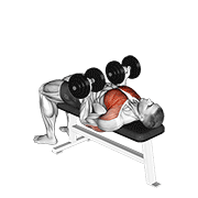 Animated demonstration of the dumbbell reverse bench press