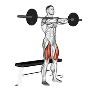 Animated demonstration of the barbell bench front squat