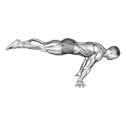 Animated demonstration of the full planche