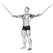 Animated demonstration of the cable standing inner curl