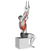 Animated demonstration of the band fixed back underhand pulldown