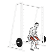 Animated demonstration of the smith hack squat