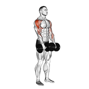 Animated demonstration of the dumbbell upright row