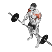 Animated demonstration of the barbell front raise