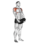 Animated demonstration of the weighted front raise