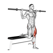 Animated demonstration of the barbell single leg split squat