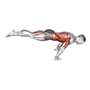 Animated demonstration of the full planche push-up