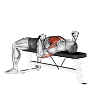 Animated demonstration of the band bench press