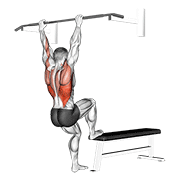 Animated demonstration of the bench pull-ups