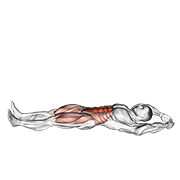 Animated demonstration of the jackknife sit-up