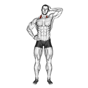 Animated demonstration of the side push neck stretch