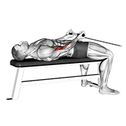 Animated demonstration of the cable lying bicep curl