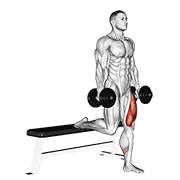 Animated demonstration of the dumbbell single leg split squat