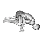 Animated demonstration of the frog planche