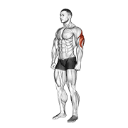Animated demonstration of the triceps stretch