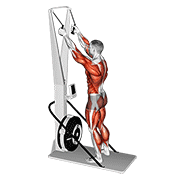 Animated demonstration of the ski ergometer