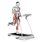 Animated demonstration of the run (equipment)